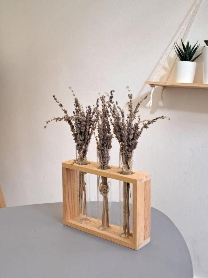 Small And Functional Studio In A Charming Residence - Benakey Cannes Exteriör bild